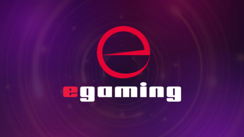 e-gaming